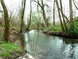 Ciemięga